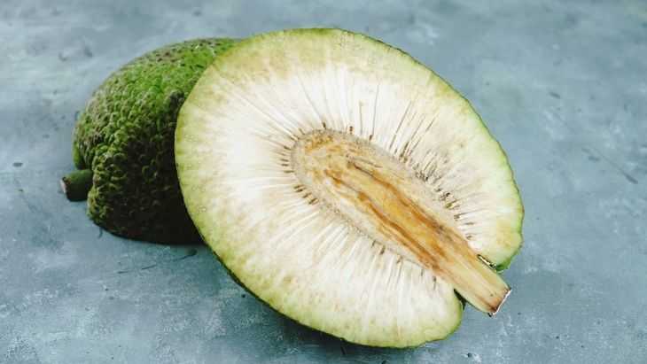 Dulu Diremehkan, Kini Buah Sukun Jadi 'Future Food' Dunia 2026